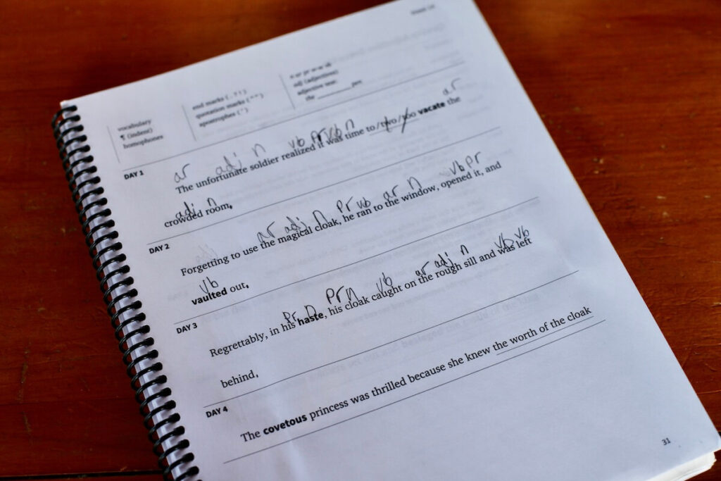 Fix It Grammar Student